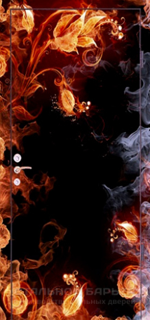 Дверь с фотопечатью №16