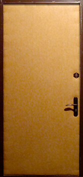 Дверь Винилискожа №2