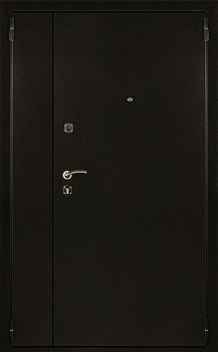 Тамбурная дверь №6